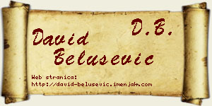 David Belušević vizit kartica